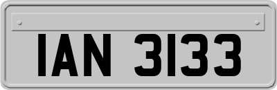 IAN3133