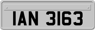 IAN3163