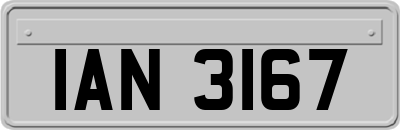 IAN3167