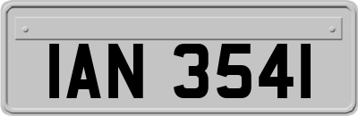 IAN3541