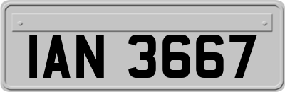 IAN3667