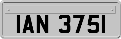 IAN3751
