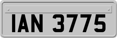 IAN3775