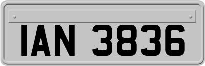 IAN3836