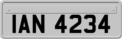 IAN4234
