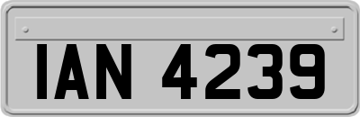 IAN4239