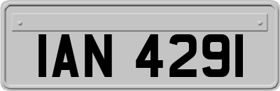 IAN4291