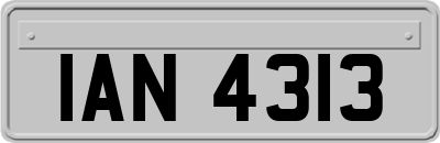 IAN4313