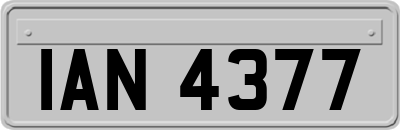 IAN4377