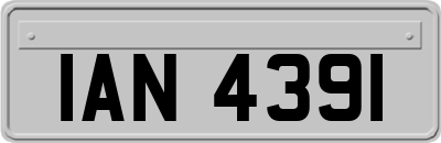 IAN4391