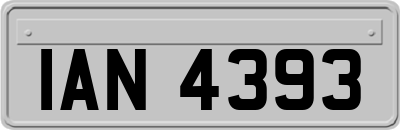 IAN4393