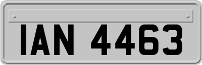 IAN4463