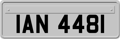 IAN4481