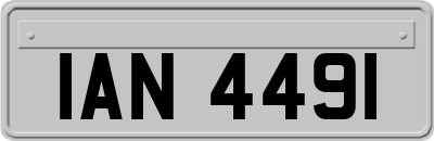 IAN4491
