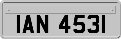 IAN4531