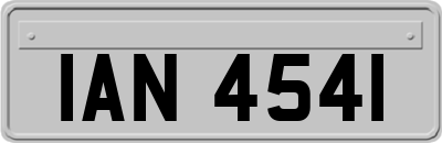 IAN4541
