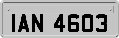 IAN4603