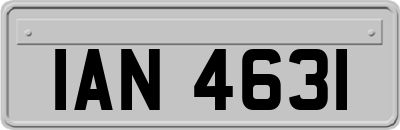 IAN4631