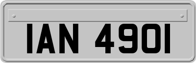 IAN4901