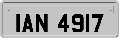 IAN4917