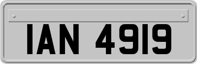 IAN4919
