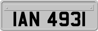 IAN4931