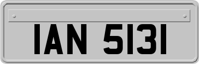 IAN5131