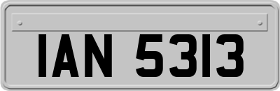 IAN5313