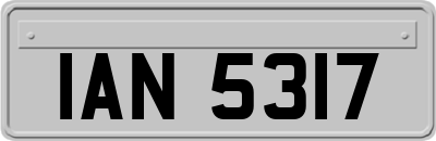 IAN5317