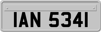 IAN5341