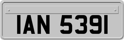 IAN5391