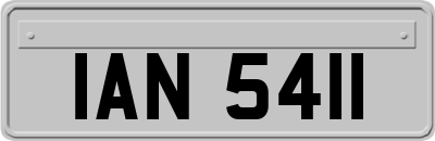 IAN5411