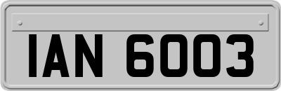IAN6003