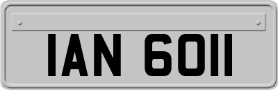 IAN6011