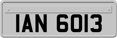 IAN6013