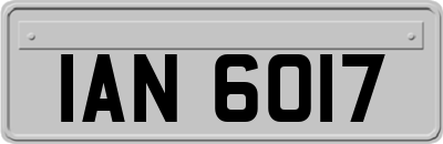 IAN6017