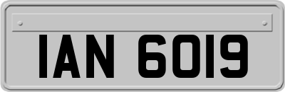 IAN6019