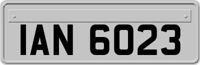 IAN6023