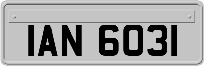 IAN6031