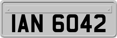 IAN6042