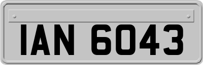 IAN6043