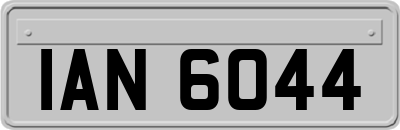 IAN6044