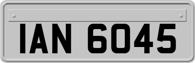 IAN6045