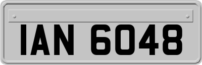 IAN6048