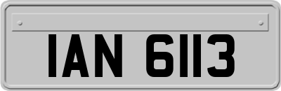 IAN6113