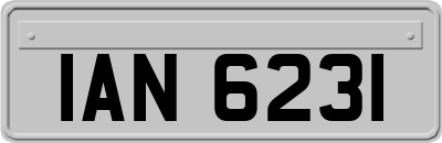 IAN6231