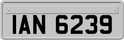 IAN6239
