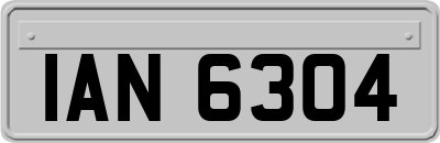 IAN6304