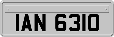 IAN6310