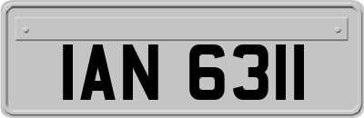 IAN6311